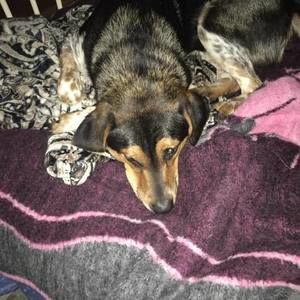 Meet your Posher, Paul